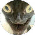 Reviewer Image