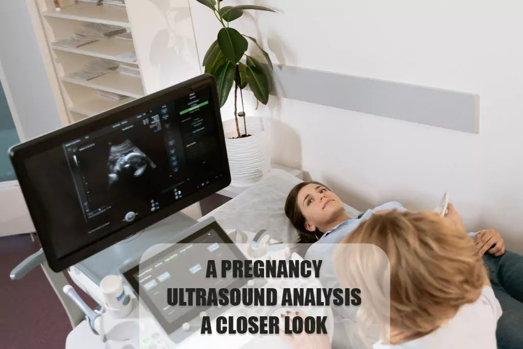 pregnancy ultrasound analysis