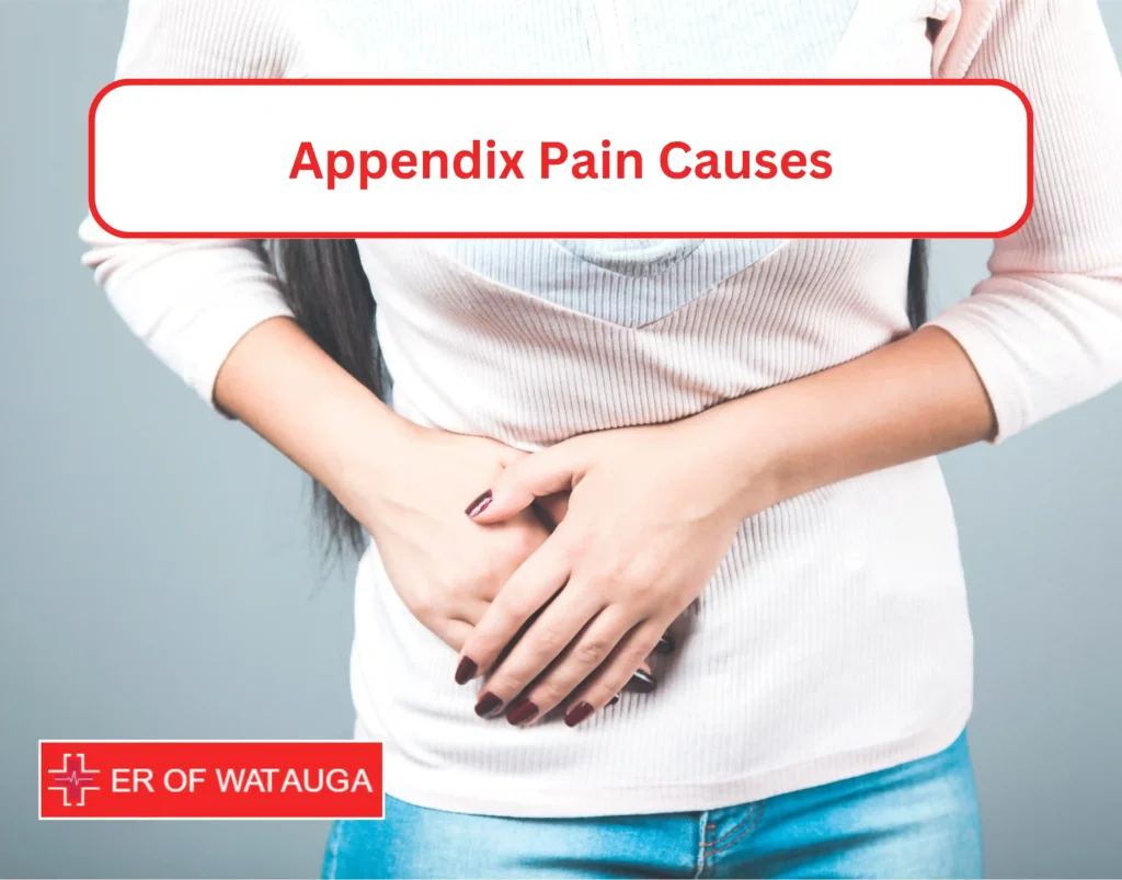 Appendix Pain Causes