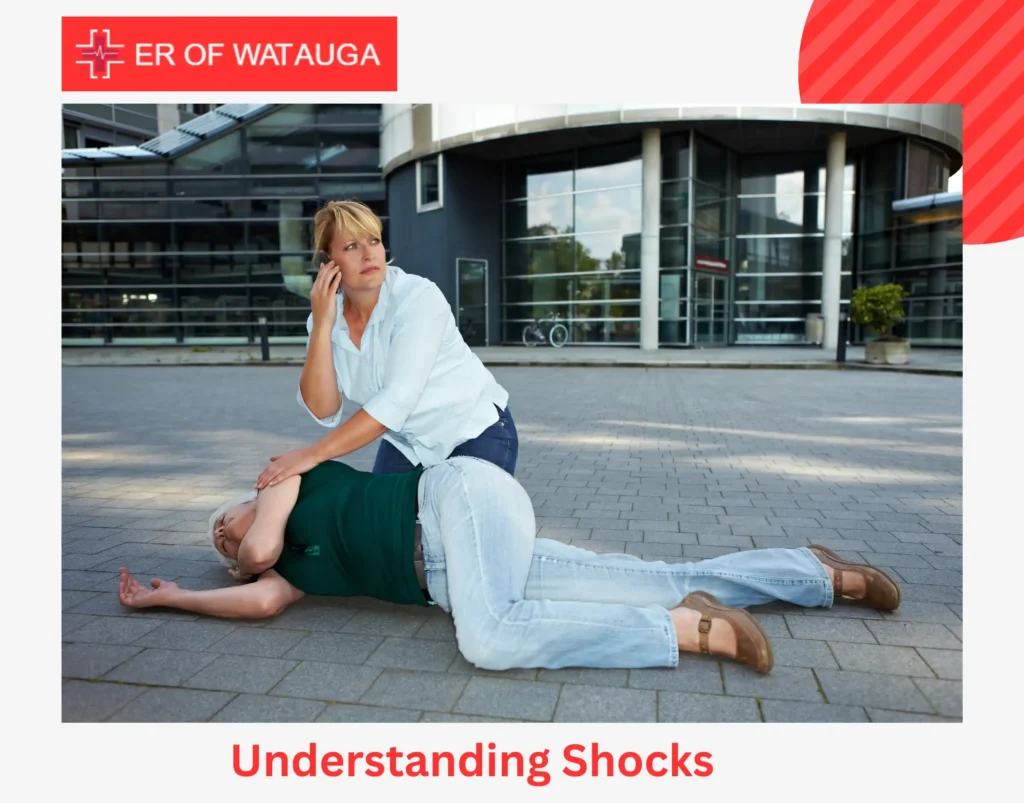 Understanding Shocks