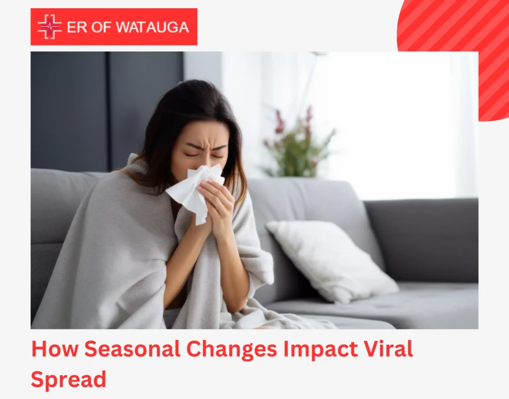 How Seasonal Changes Impact Viral Spread