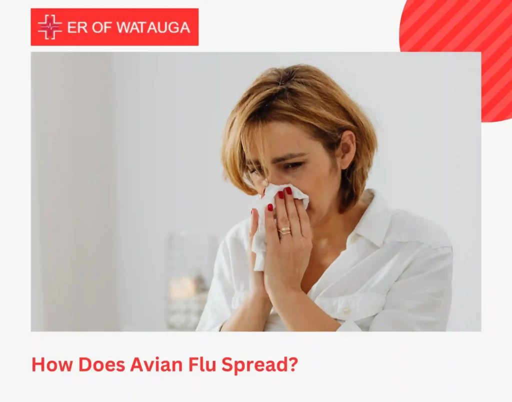 How Does Avian Flu Spread