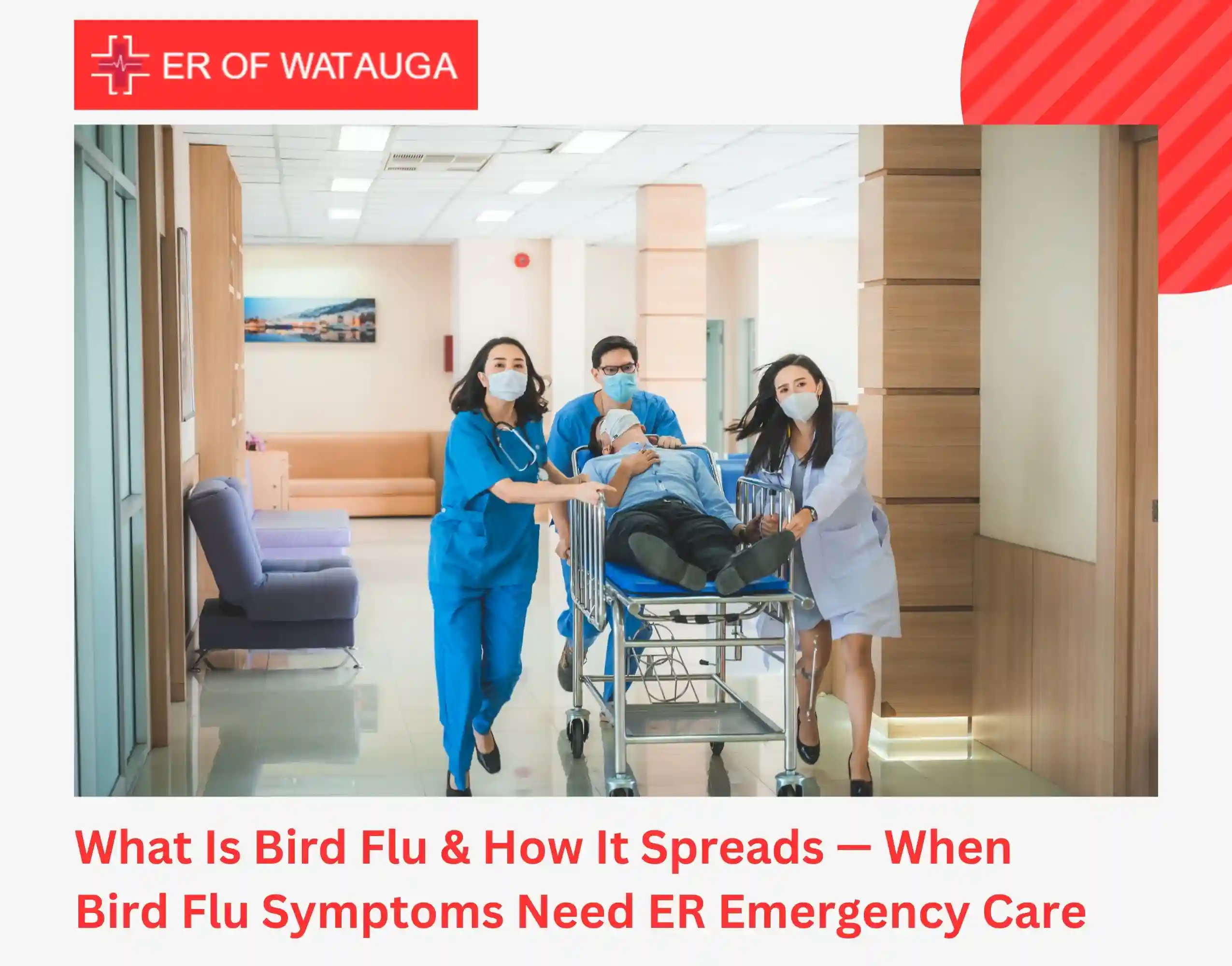 What Is Bird Flu & How It Spreads — When Bird Flu Symptoms Need ER Emergency Care