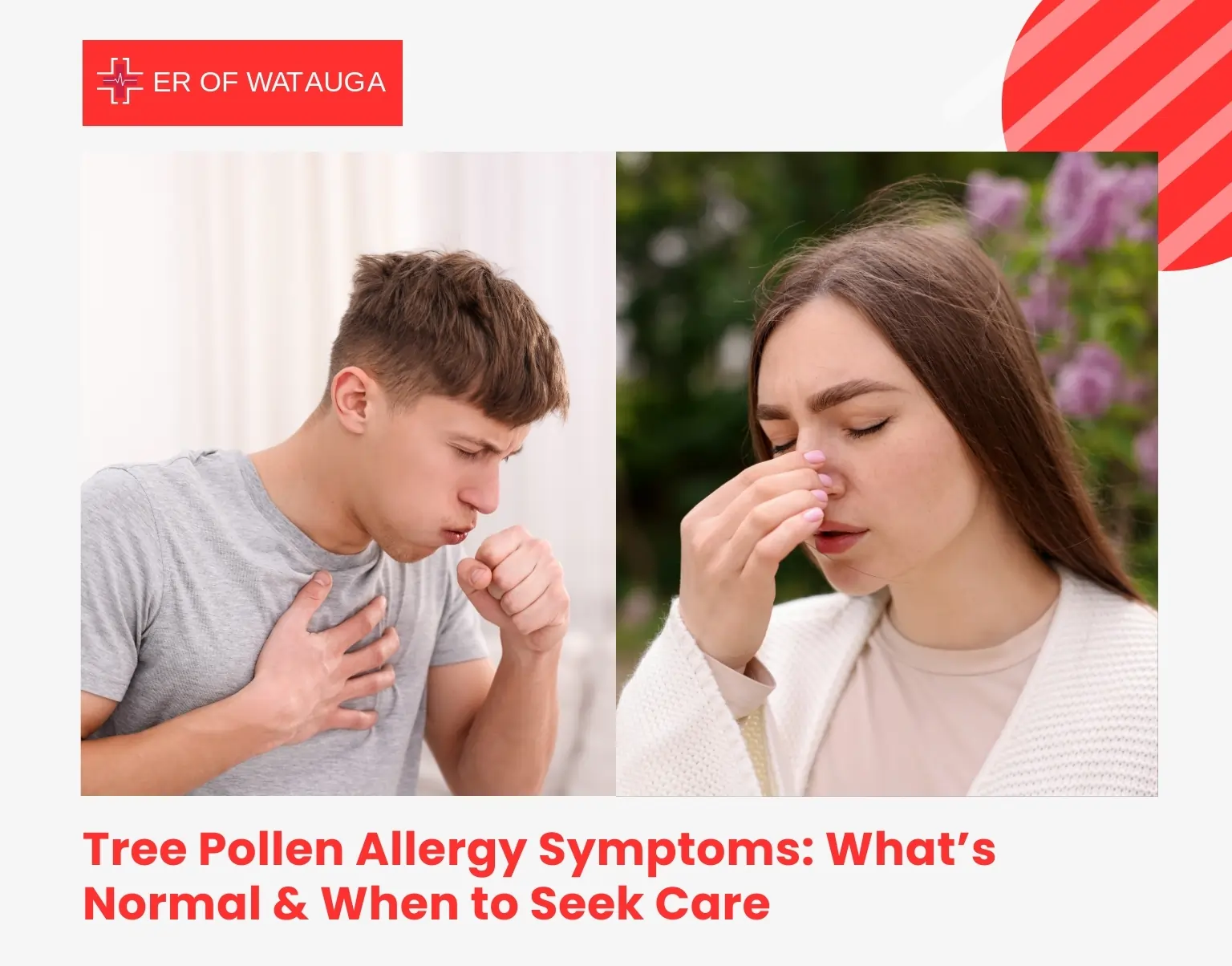 Tree Pollen Allergy Symptoms What’s Normal & When to Seek Care