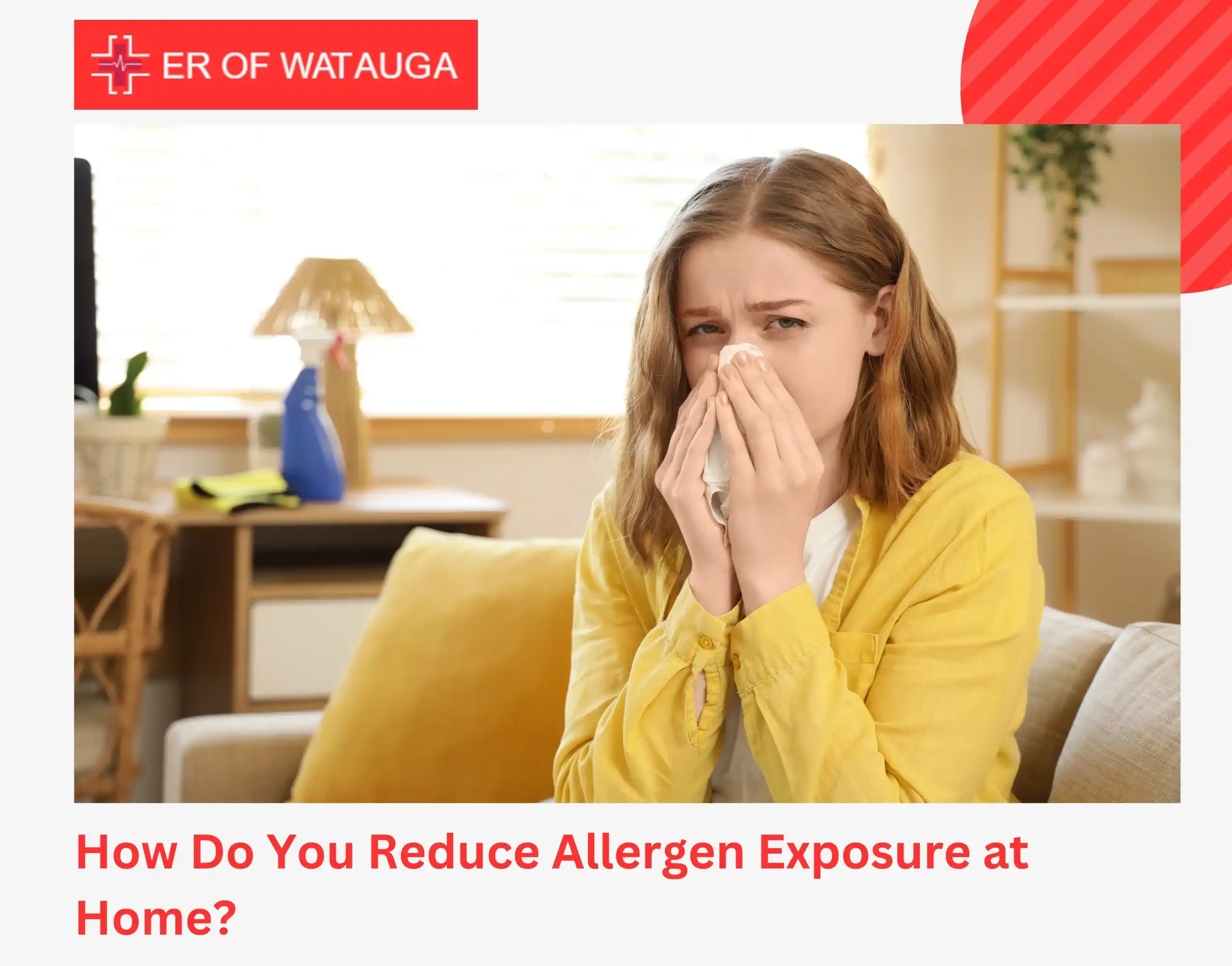 How Do You Reduce Allergen Exposure at Home