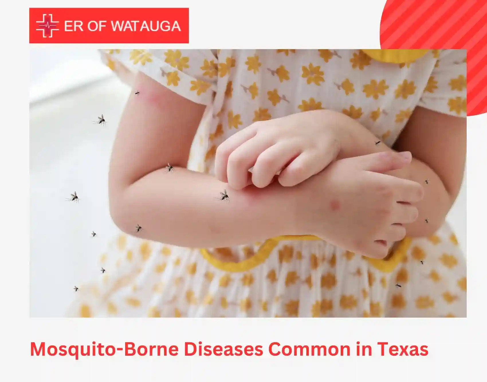 Mosquito-Borne Diseases Common in Texas