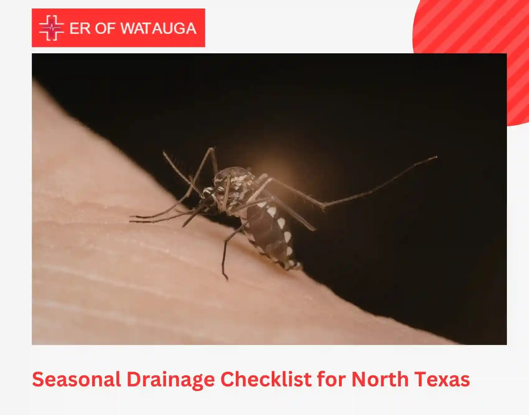 Seasonal Drainage Checklist for North Texas