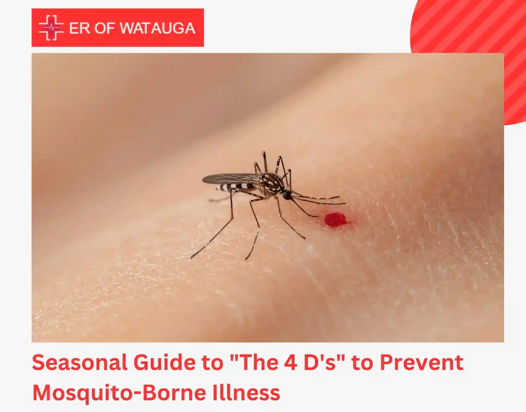 Seasonal Guide to The 4 D's to Prevent Mosquito-Borne Illness