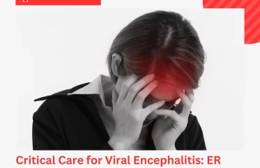 Critical Care for Viral Encephalitis ER Critical Care Explained