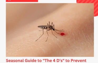 Seasonal Guide to The 4 D's to Prevent Mosquito-Borne Illness
