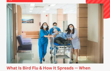 What Is Bird Flu & How It Spreads — When Bird Flu Symptoms Need ER Emergency Care